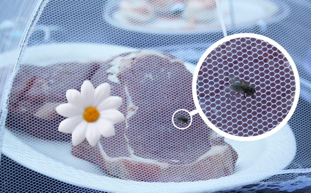 abdeckhaube fliege wiederhergestellt magarite